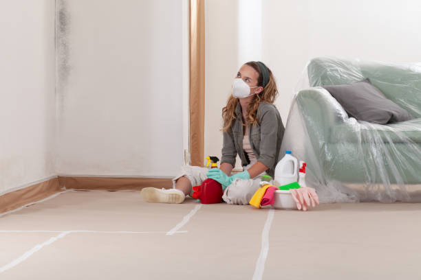 Reliable Attic Mold Removal contractor in Westphalia, MI by WQB Mold Removal